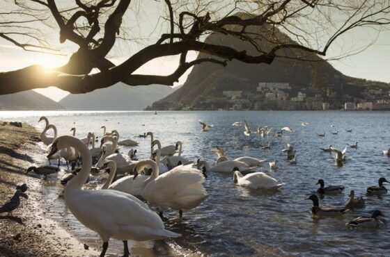 Tessin i Lugano